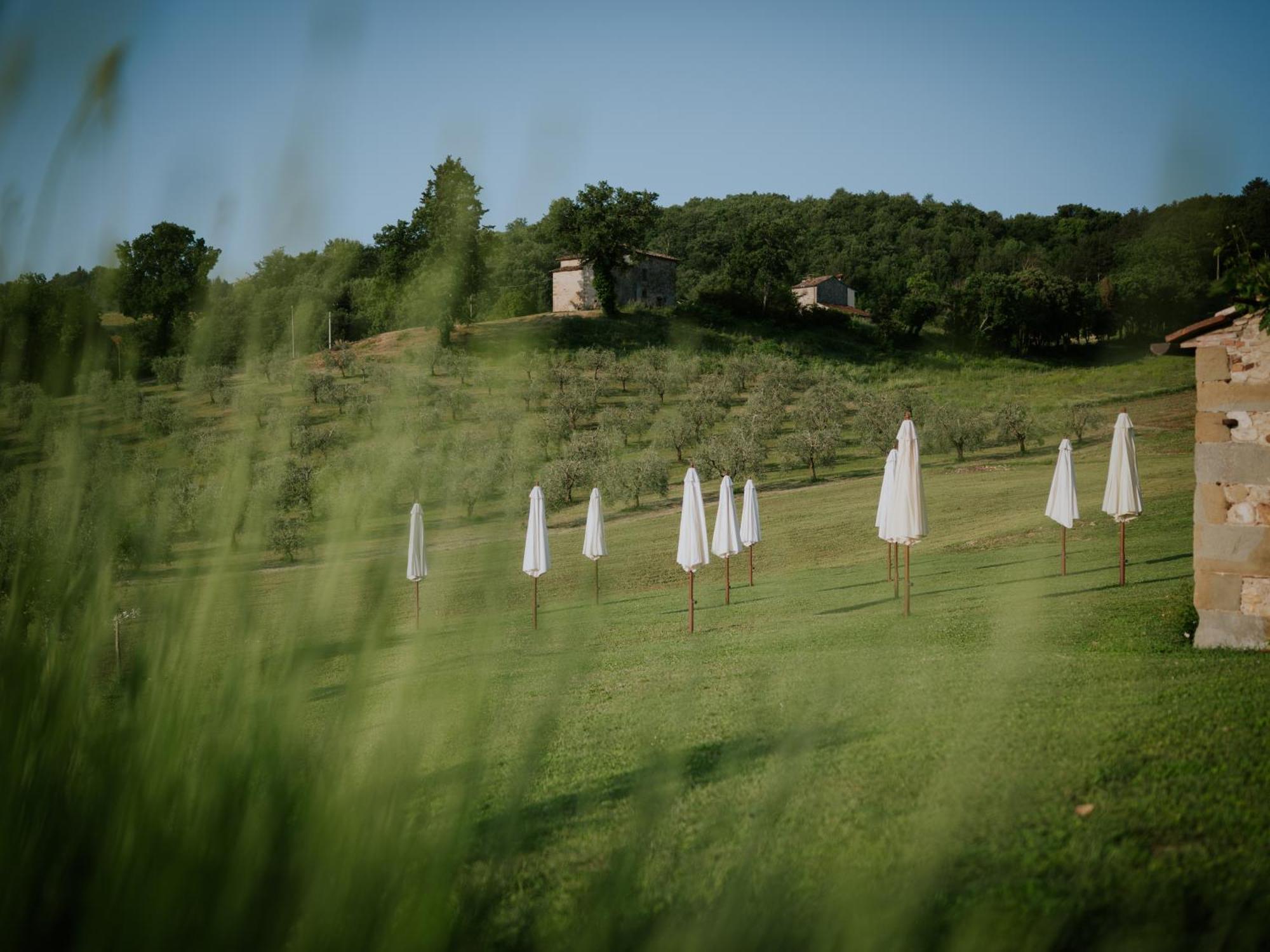 Agriturismo Podere Tovari Anghiari Dış mekan fotoğraf